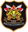 OSP Brzączowice